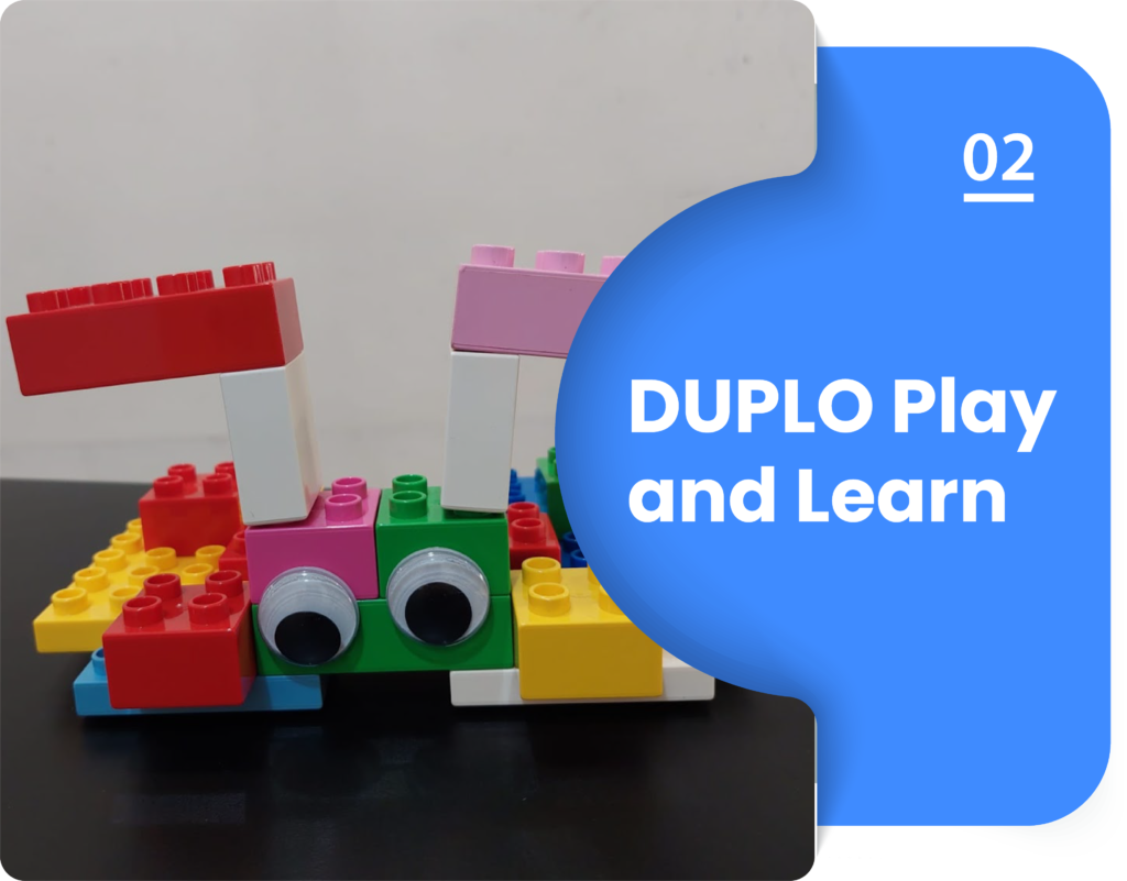 Dulpo Find Out More New