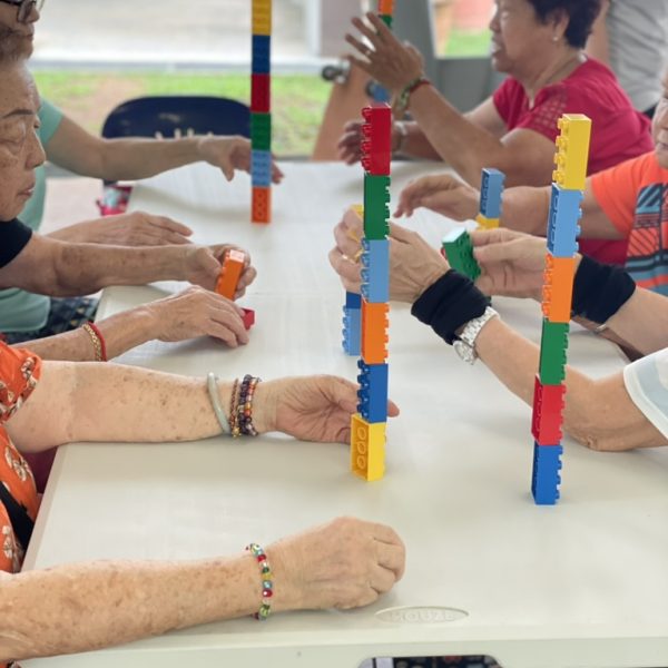 Cognitive Wellness Training Program/Brainxercise 6 E82E0182-7224-4530-B616-F35F8A506837_1_105_c